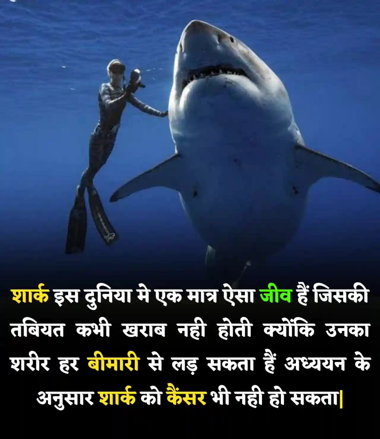 amazing facts in hindi