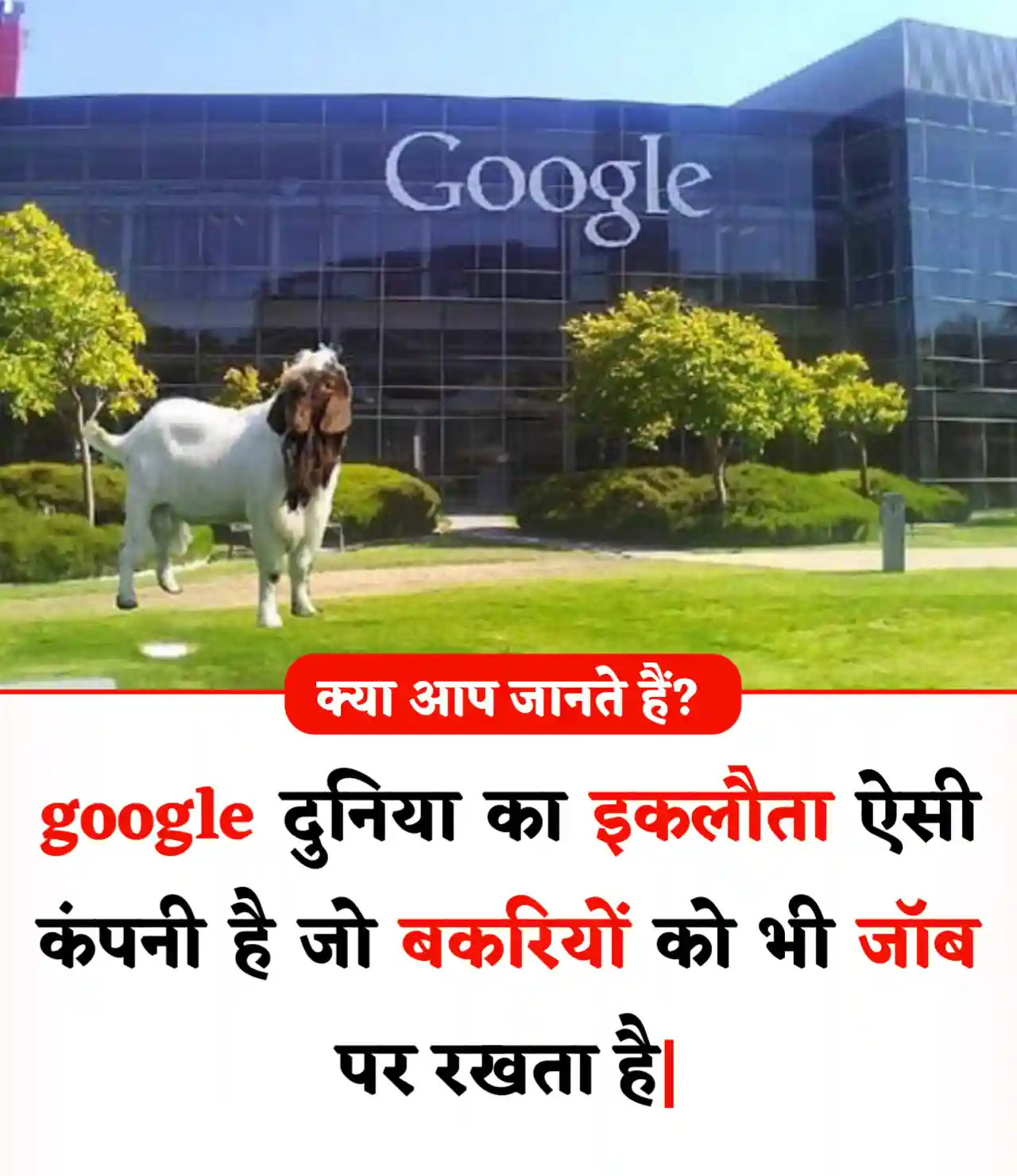amazing facts in hindi